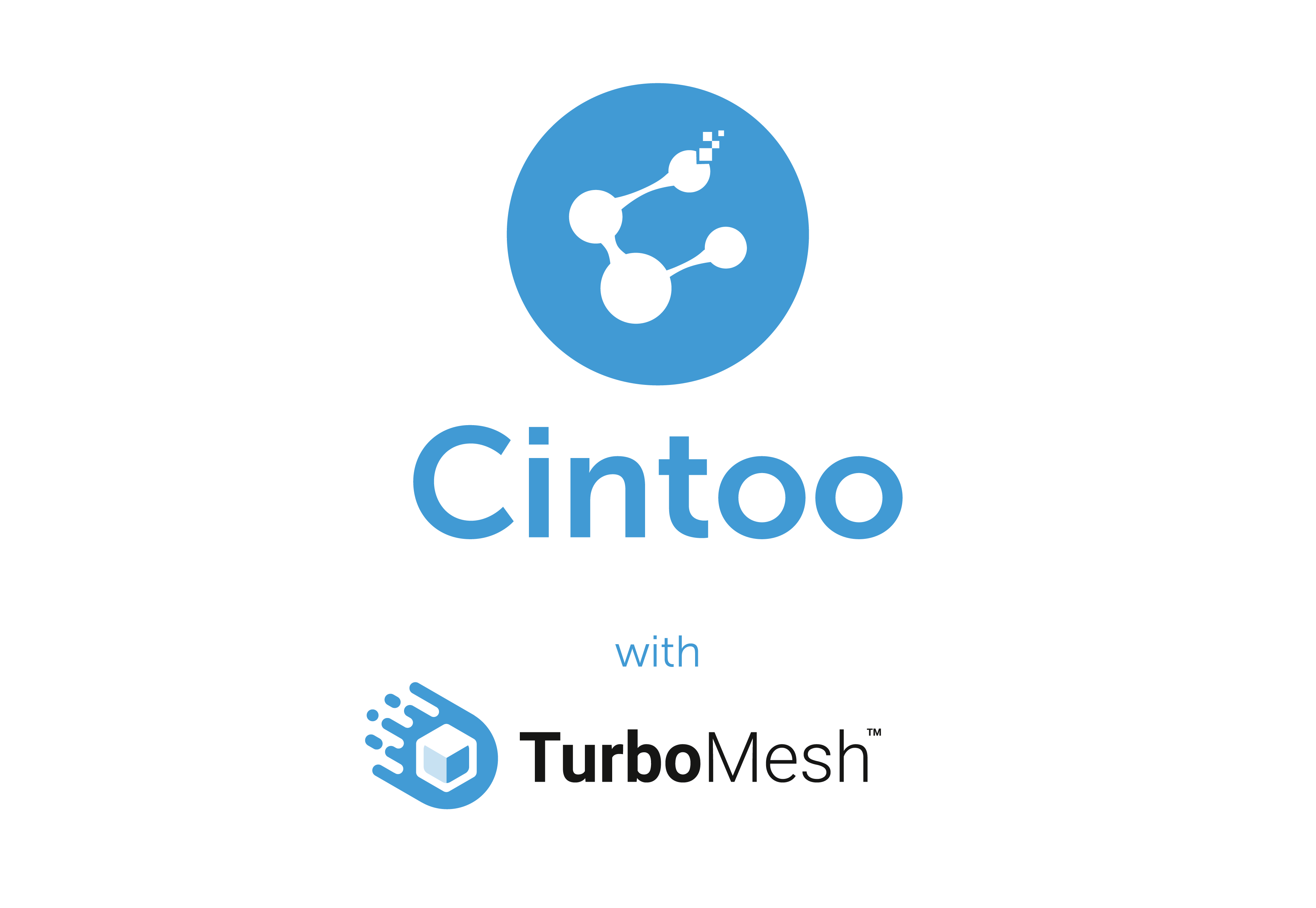 Cintoo with TurboMesh logo